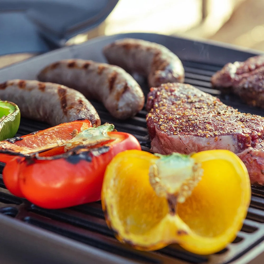 1 Burner Cast Aluminum Tabletop Propane Gas Grill Black F3669