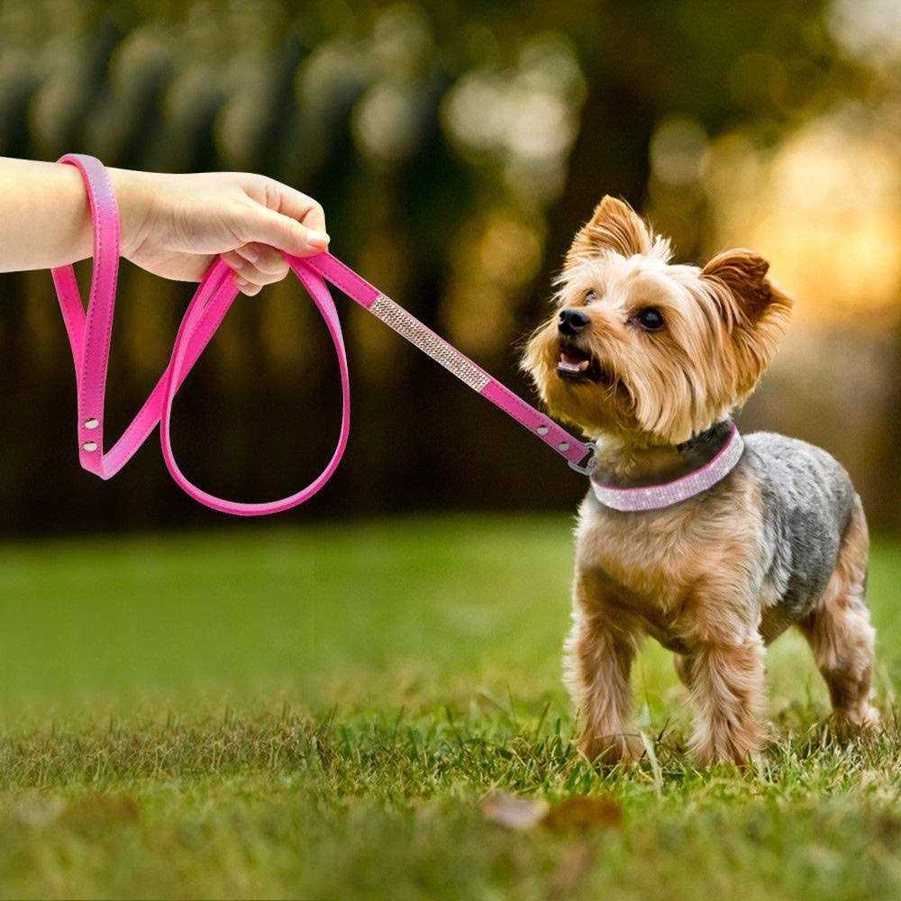 Rhinestone Soft Suede Leather Dog Cat Collar M690472