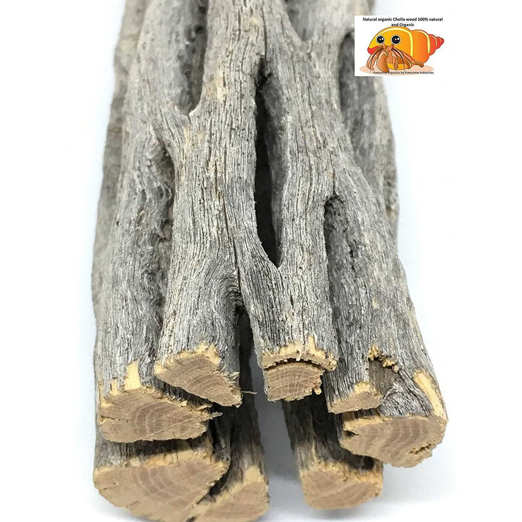 Natural Cholla Wood 3 Pieces Aquarium Decoration M9894