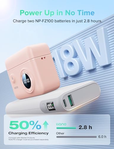18W Fast Dual USB C Camera Battery Charger with Smart Digital Display G6816