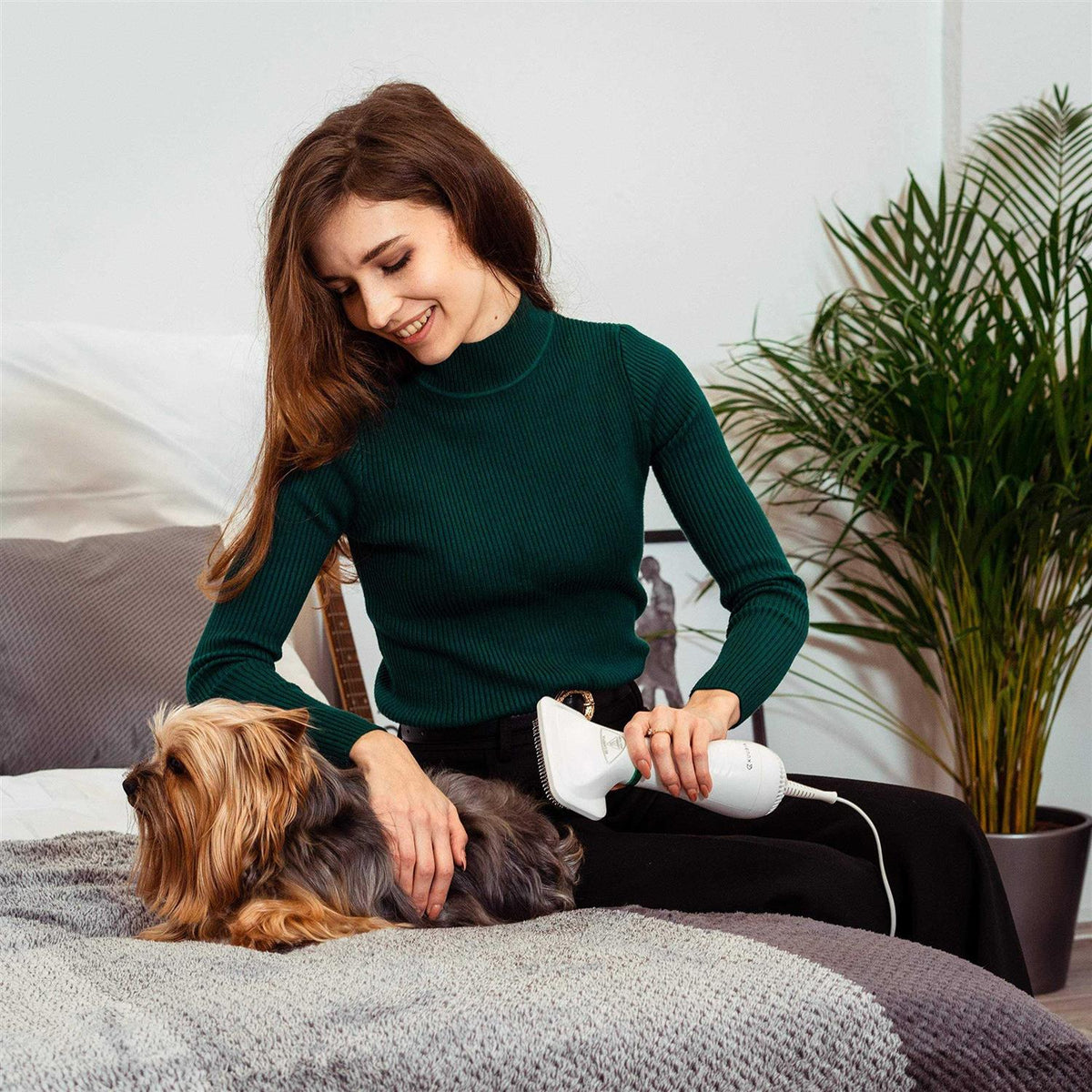 2-in-1 Pet Hair Dryer with Slicker Brush B547