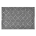 Large Trapper Litter Mat S781