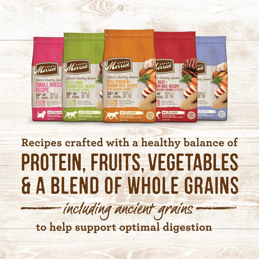 Real Ancient Grains Dry Dog Food M9579