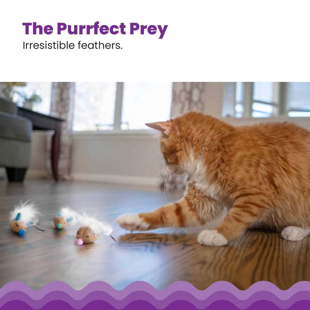 Cat Toy K759