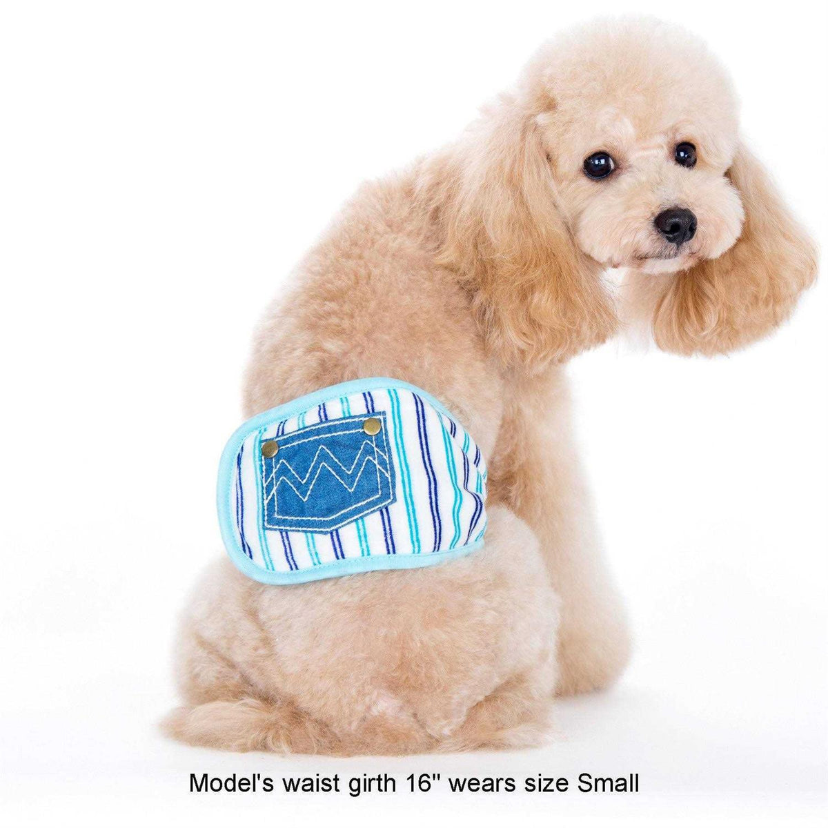 Pet Belly Band P73613