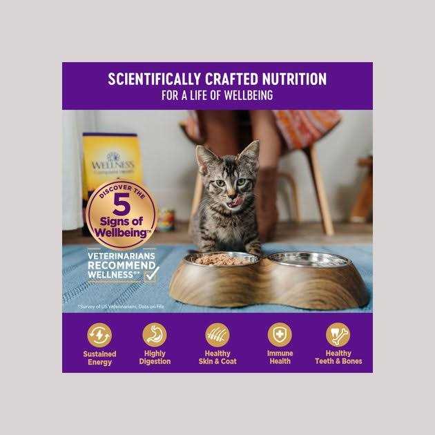 Grain Free Wet Cat Food R140267