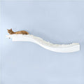 Cat Shelf T463