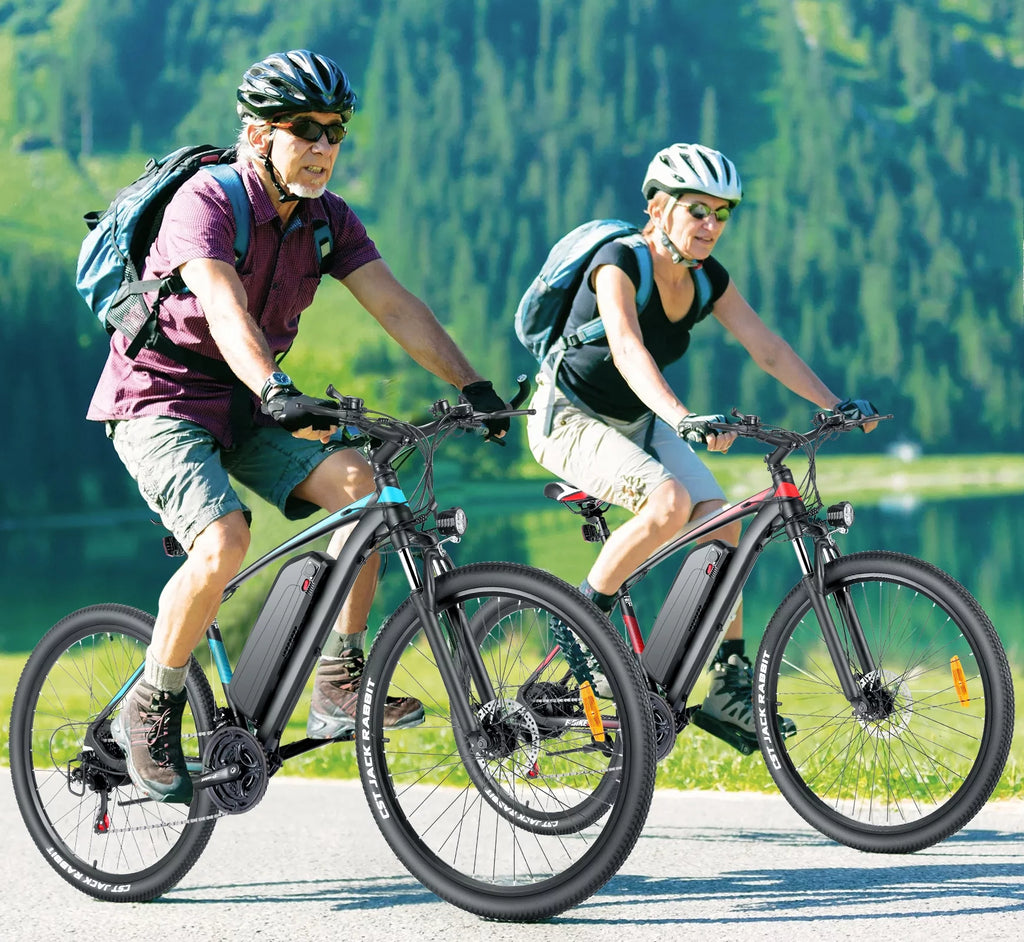 27.5" 500W Electric Bike with 48V 10.4AH Removable Battery M57377