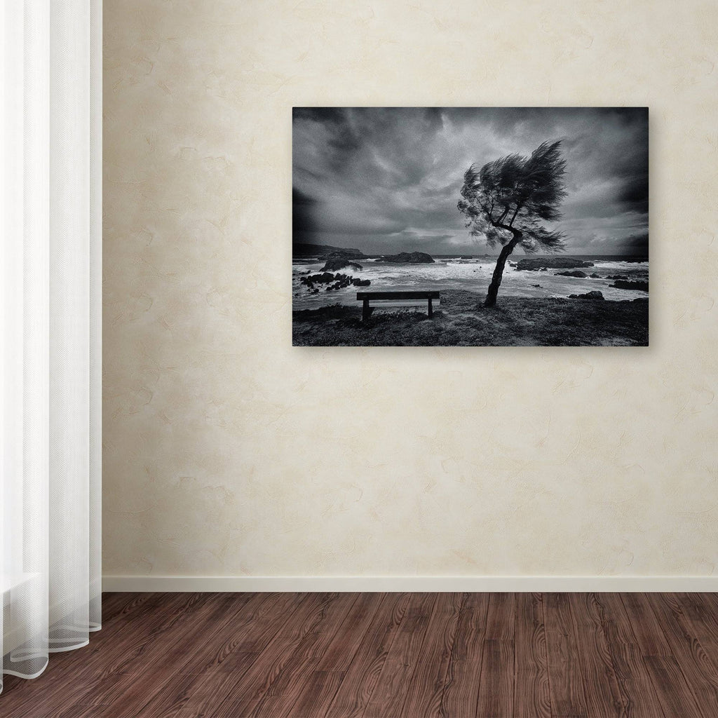 Canvas O2918