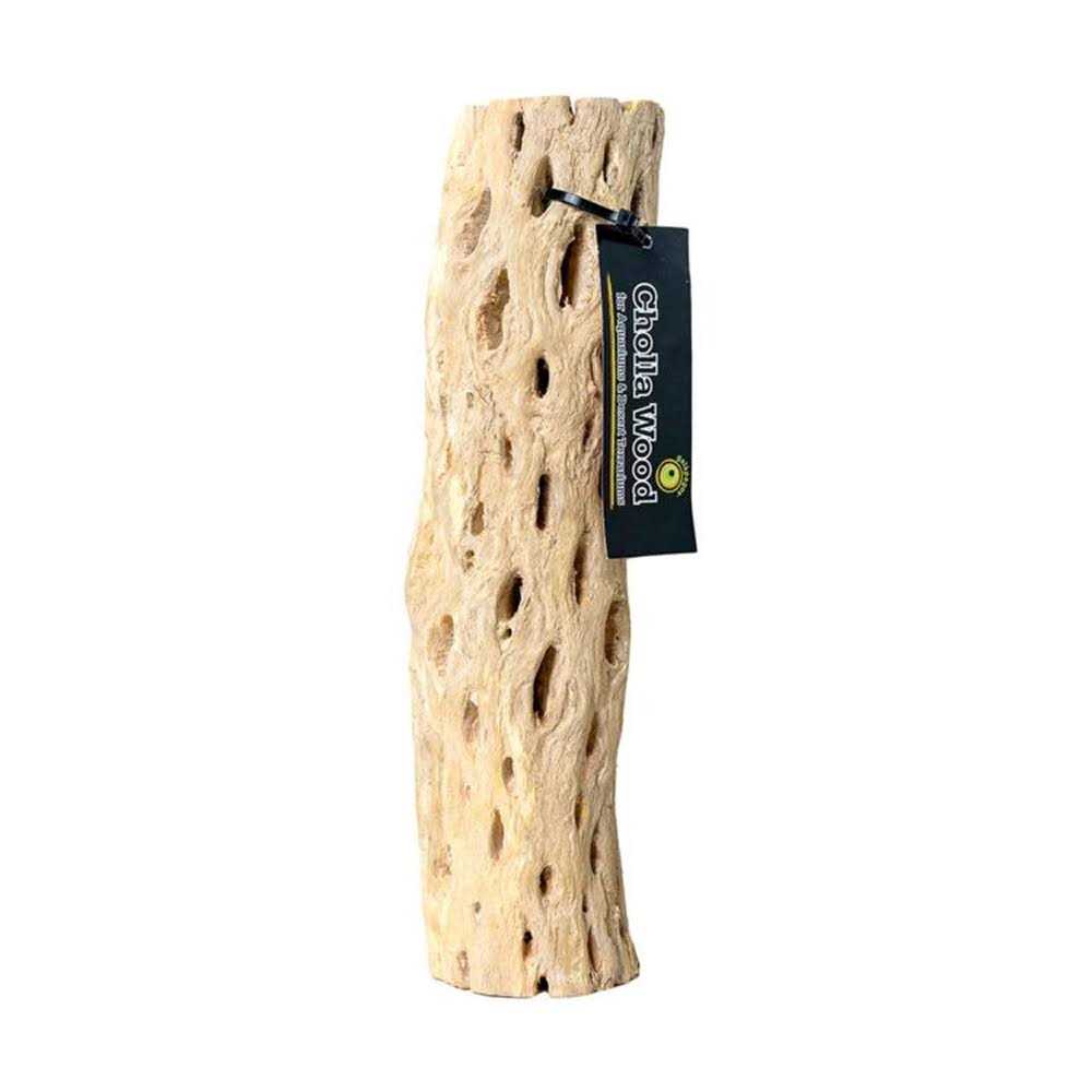 Cholla Wood J109603