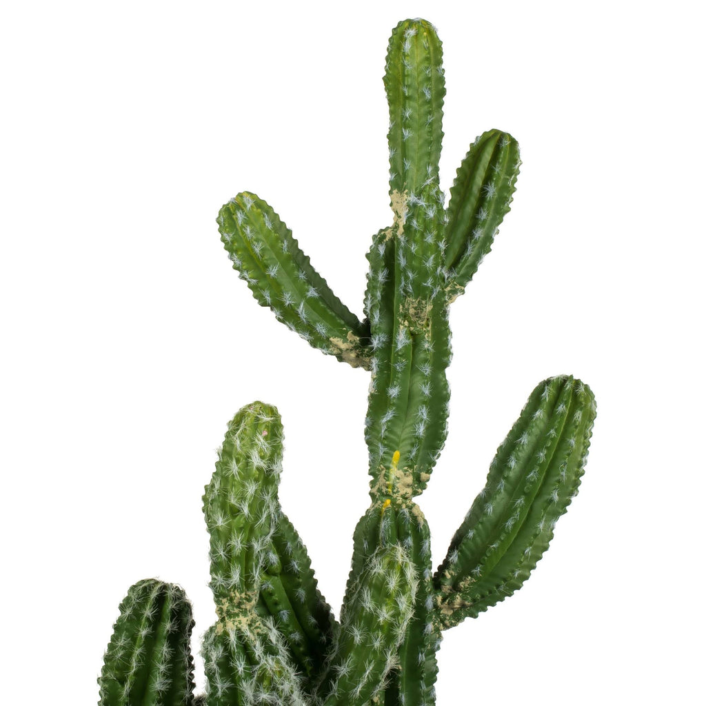 Green Potted Cactus Y929796