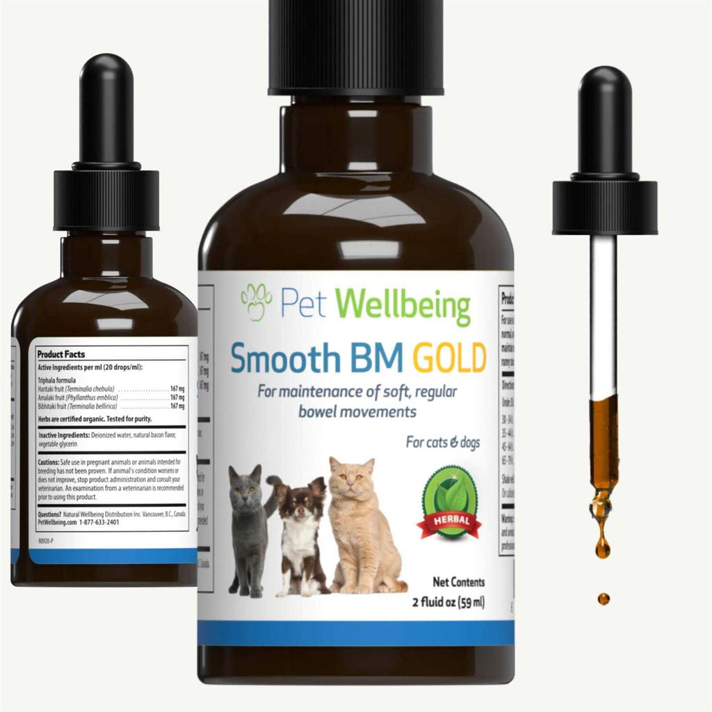 Smooth BM Gold Pet Supplies M3575
