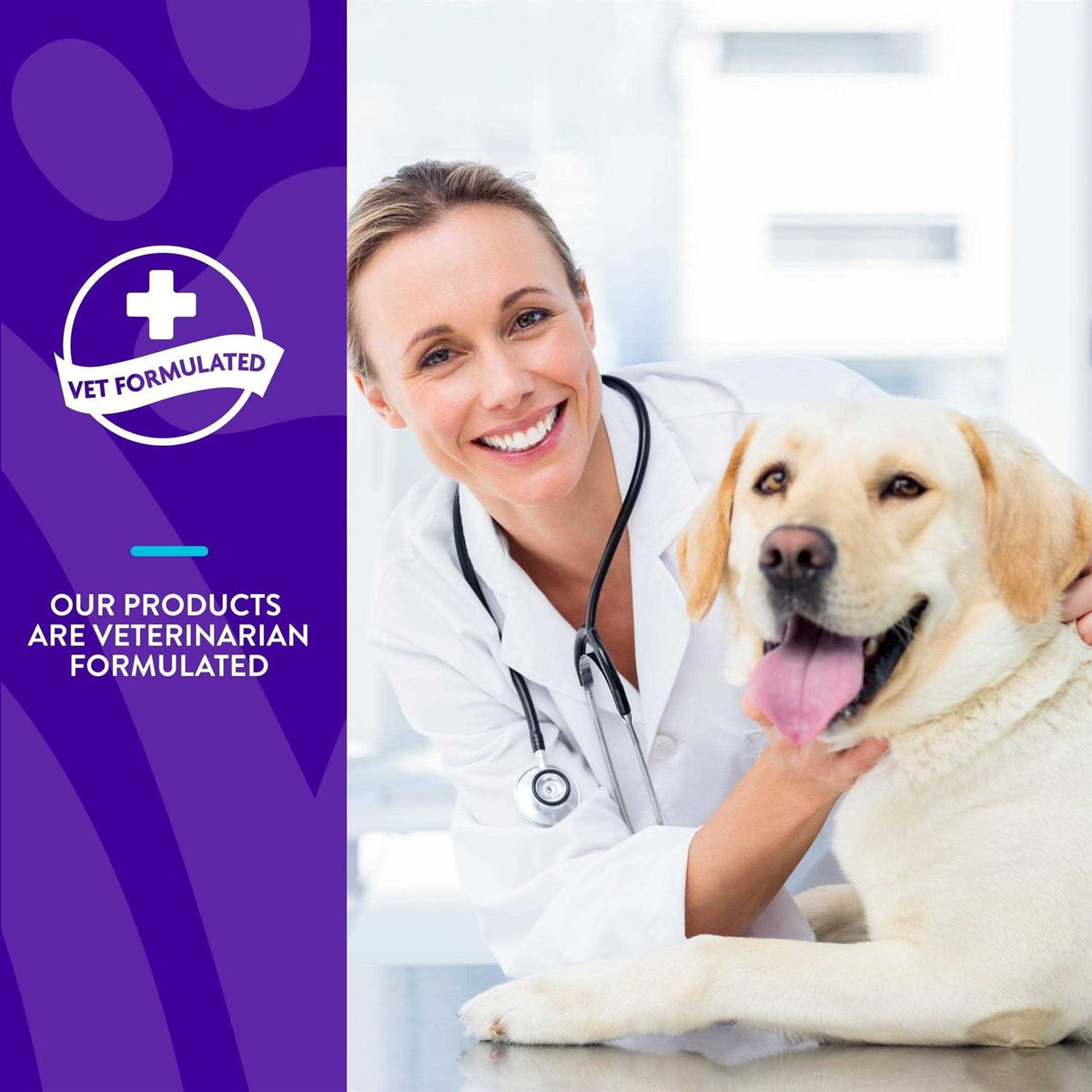 Advanced Allergy Support Soft Chews W3625