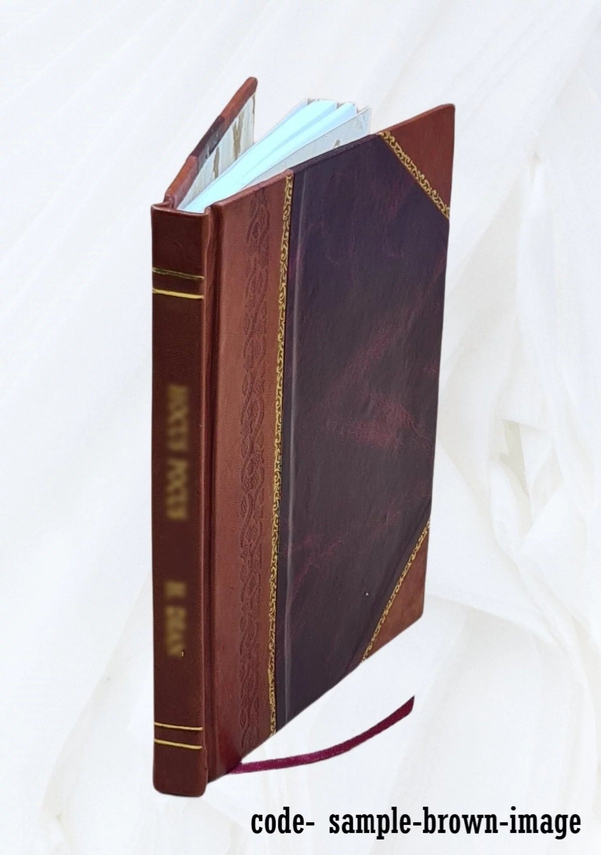 Leather Bound Book B36199