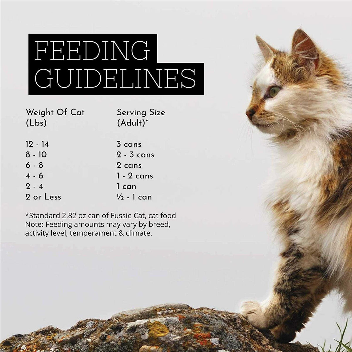 Chicken Gravy Cat Food G830173