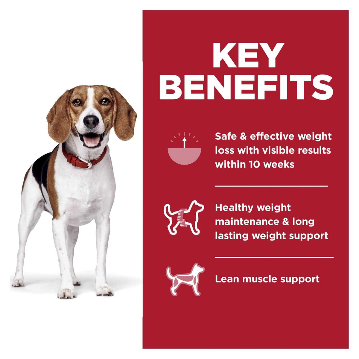 Adult Perfect Weight Chicken Dog Food S64732