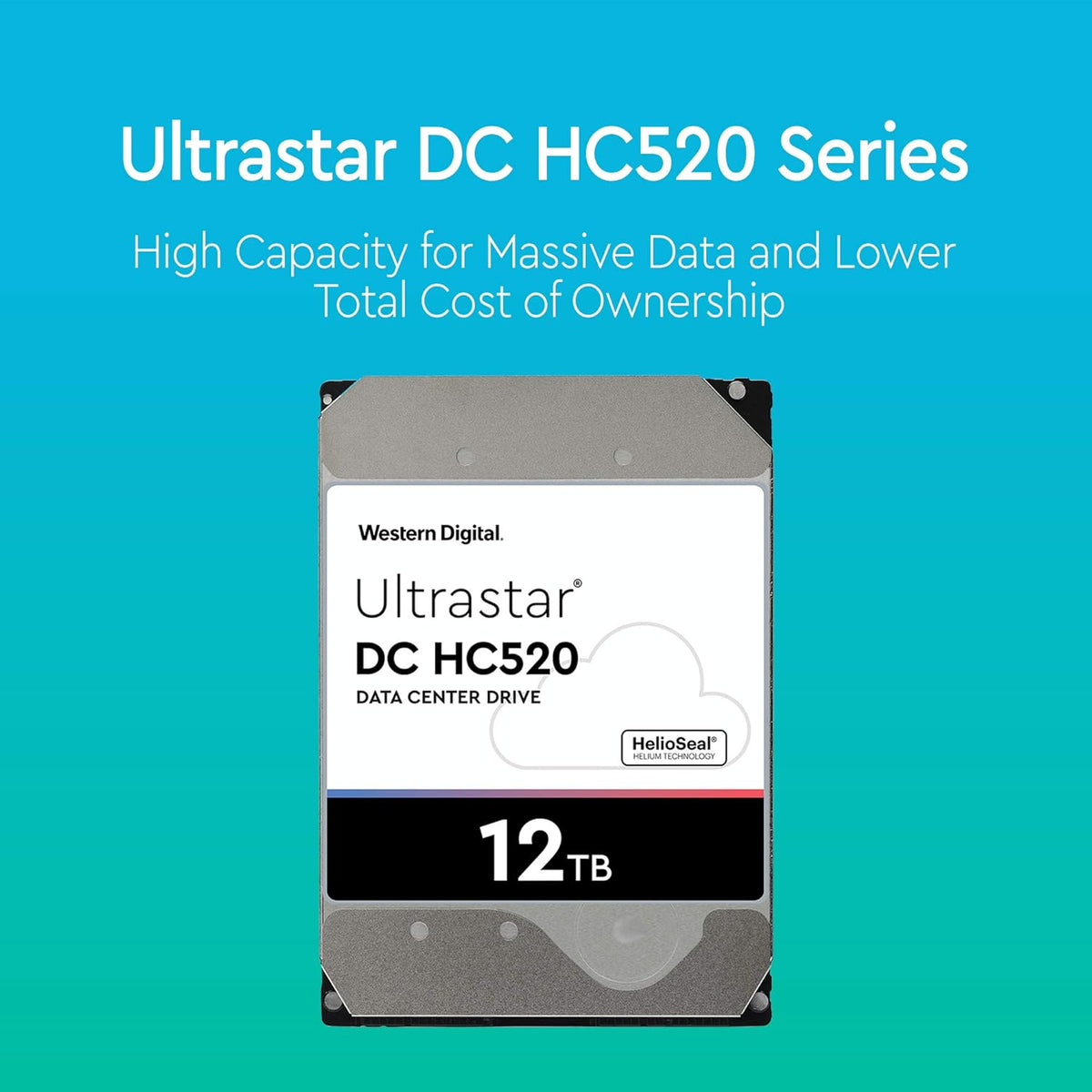 12TB 7.2K SATA 6Gb/s 3.5-Inch Internal Hard Disk Drive Z295196