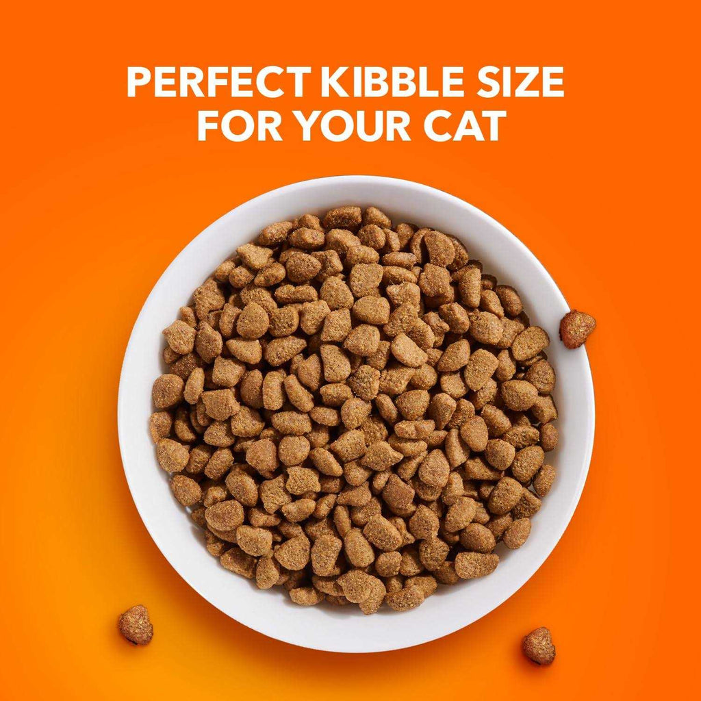 Indoor Dry Cat Food V144