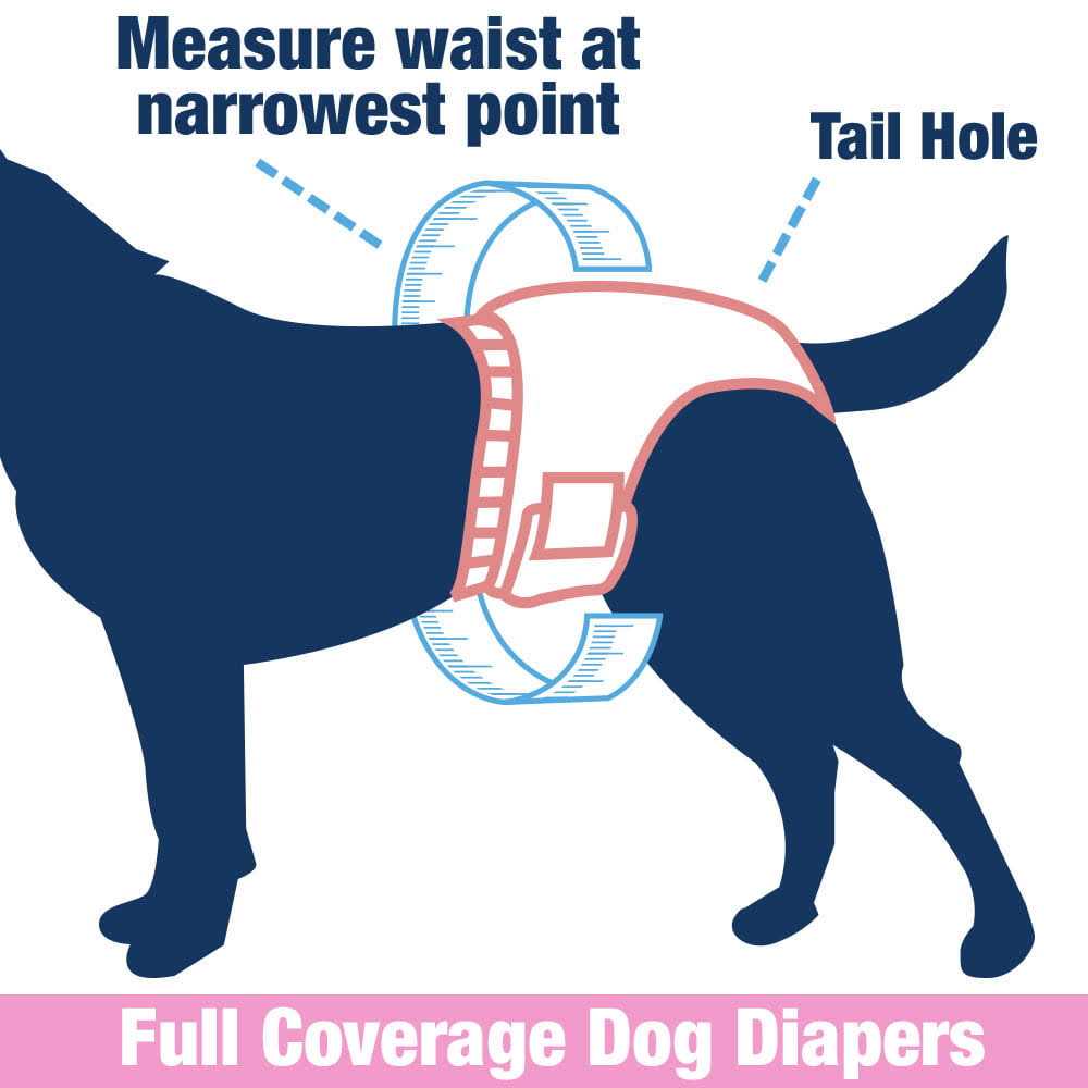 Female Dog Disposable Diapers N82508