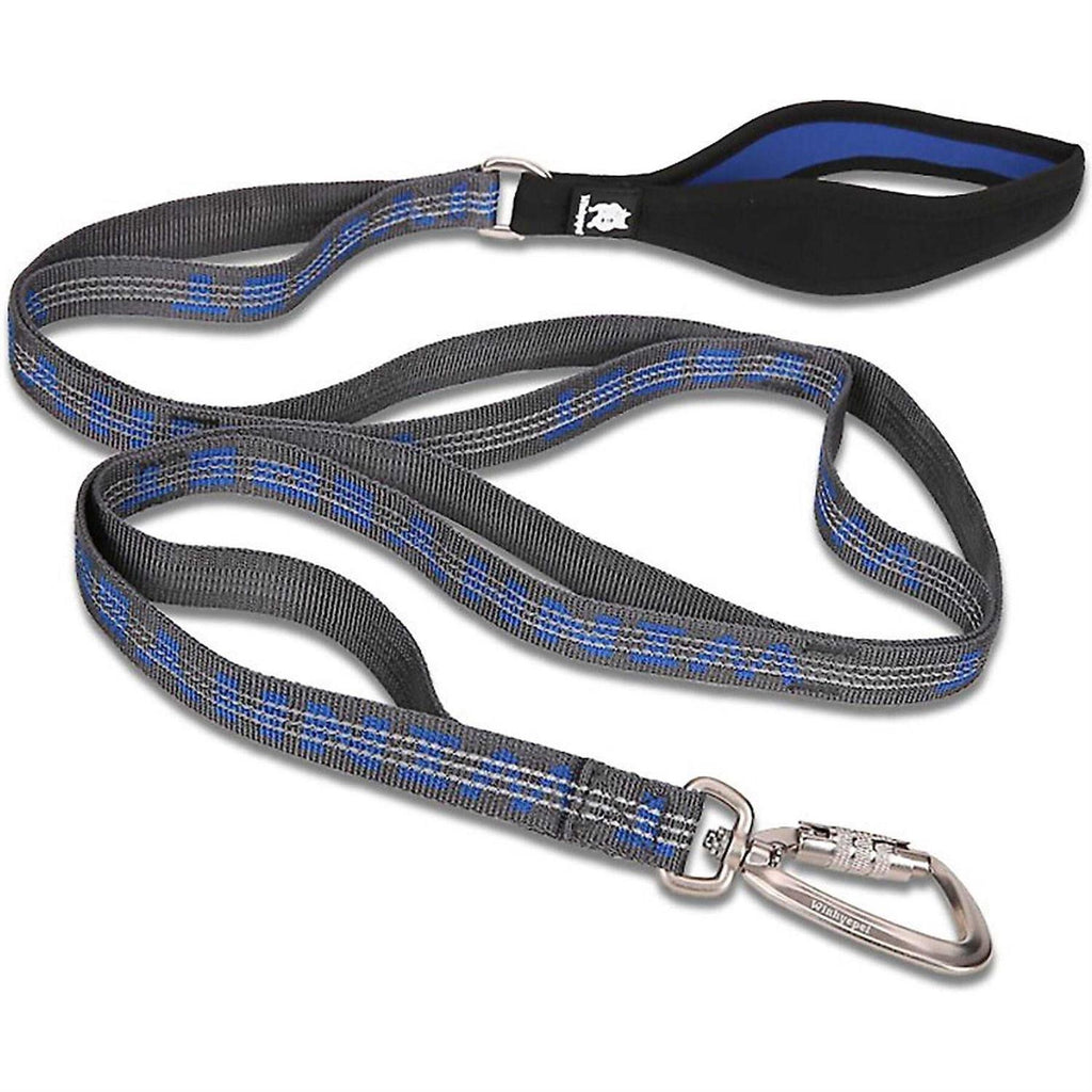 Heavy Duty Multi Handle Dog Leash X582