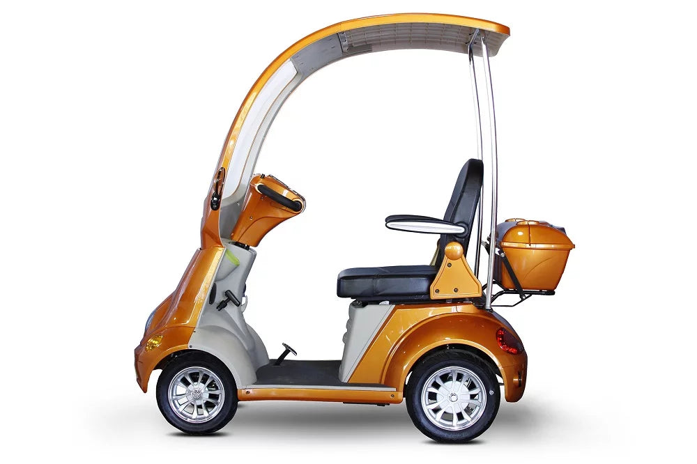 Green Mobility Scooter with Canopy D1803