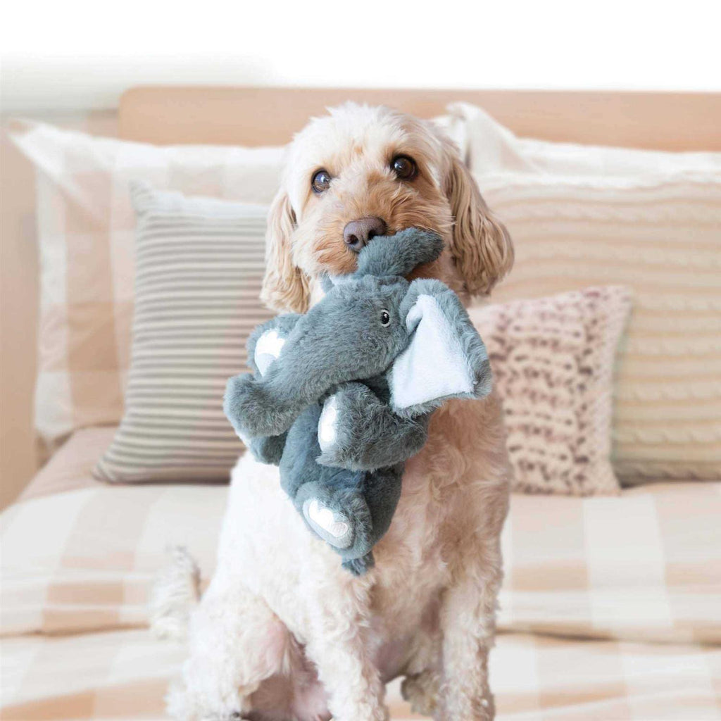 Bear Dog Toy C524319