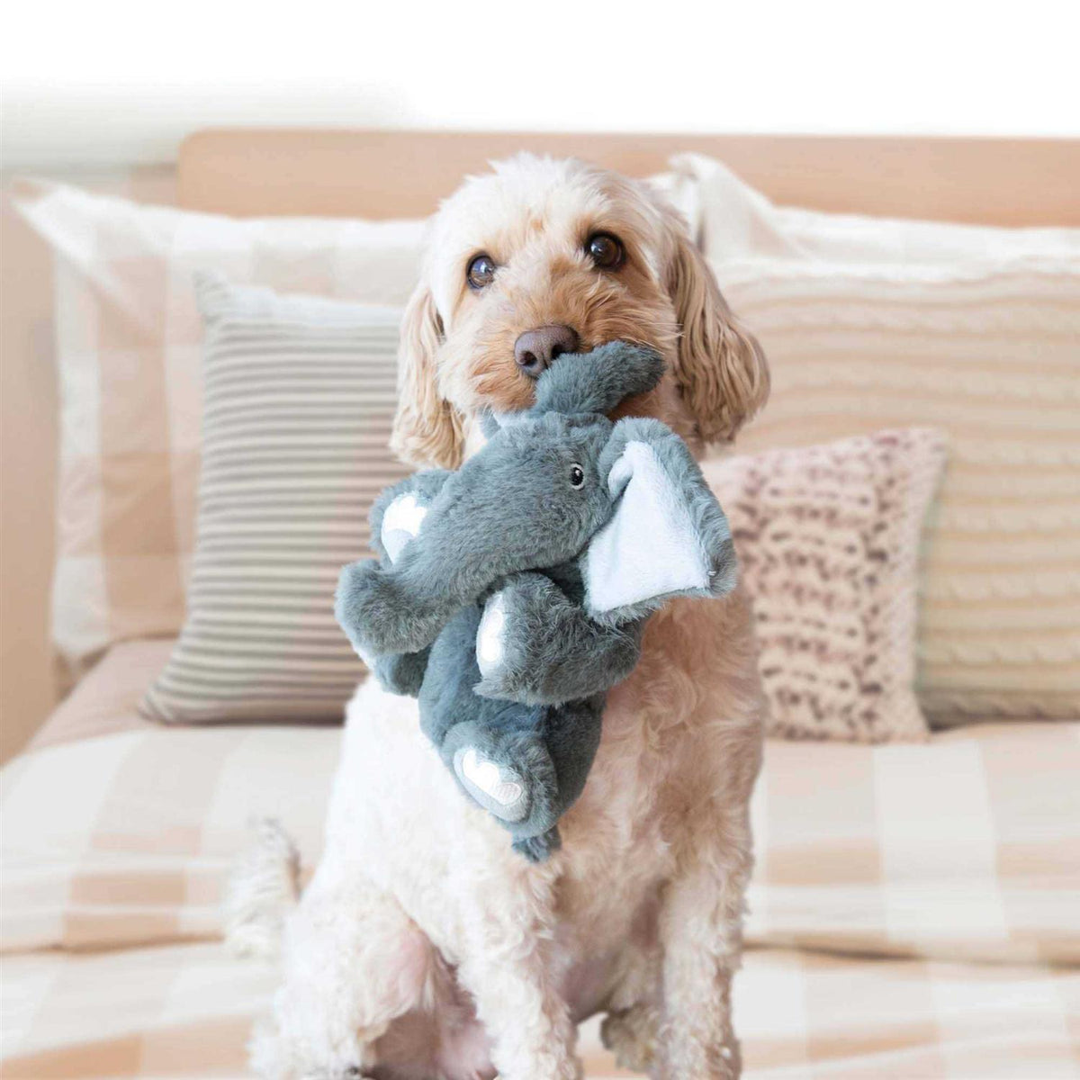 Bear Dog Toy C524319