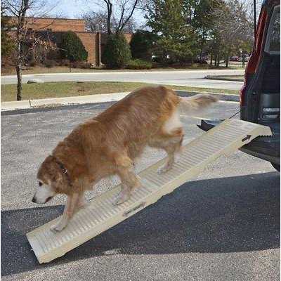 Folding Dog Ramp B77424