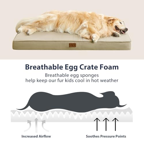 Waterproof Orthopedic Dog Bed with Removable Washable Cover U7683