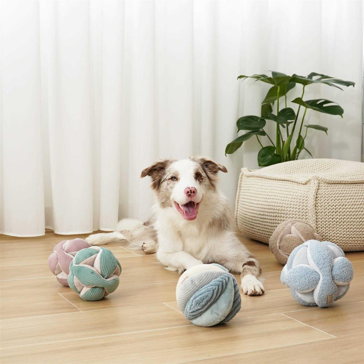 Dog Toy J8615