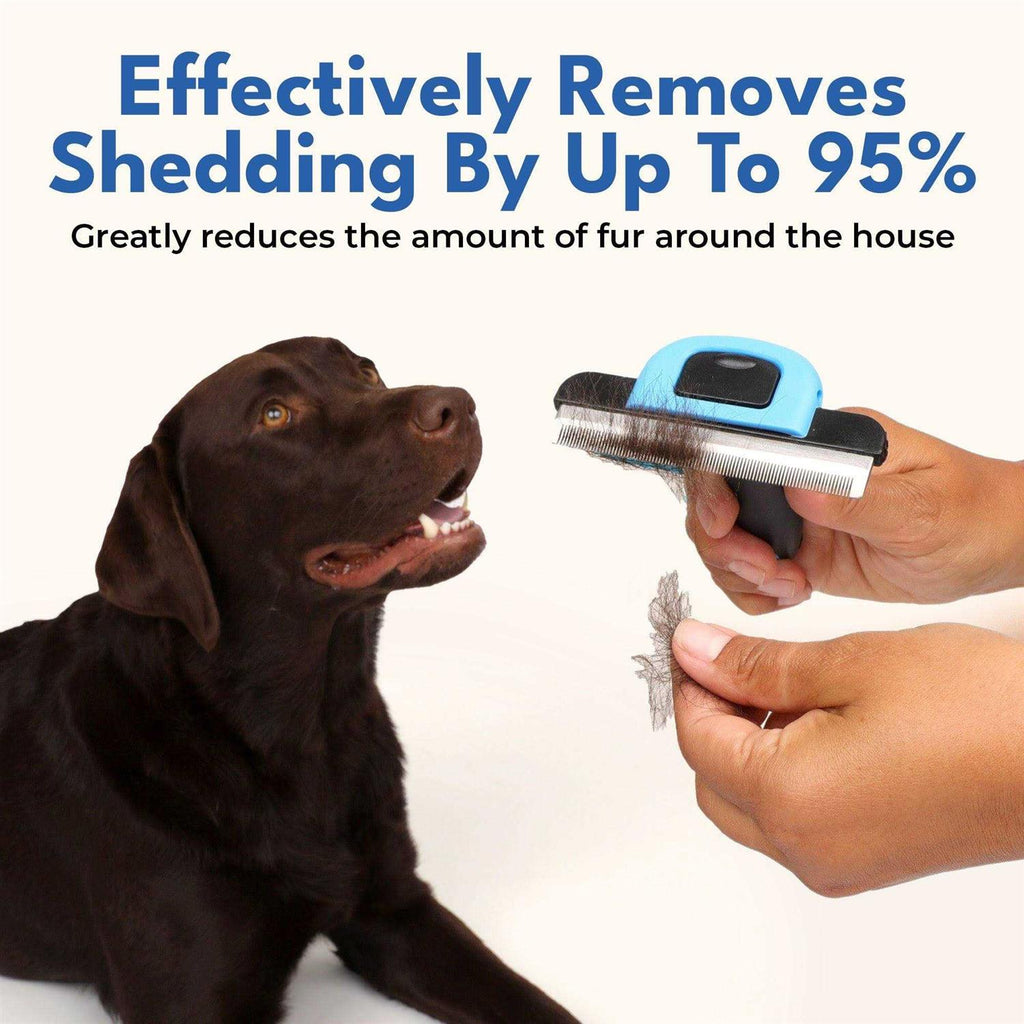 Deshedding Brush for Short Haired Dogs & Cats Z8071