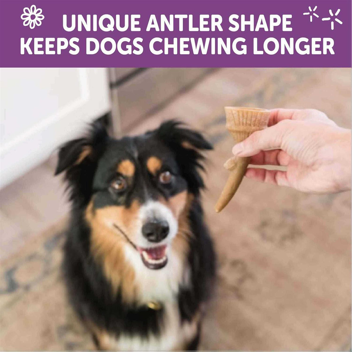 Dog Chews Value Bag T658