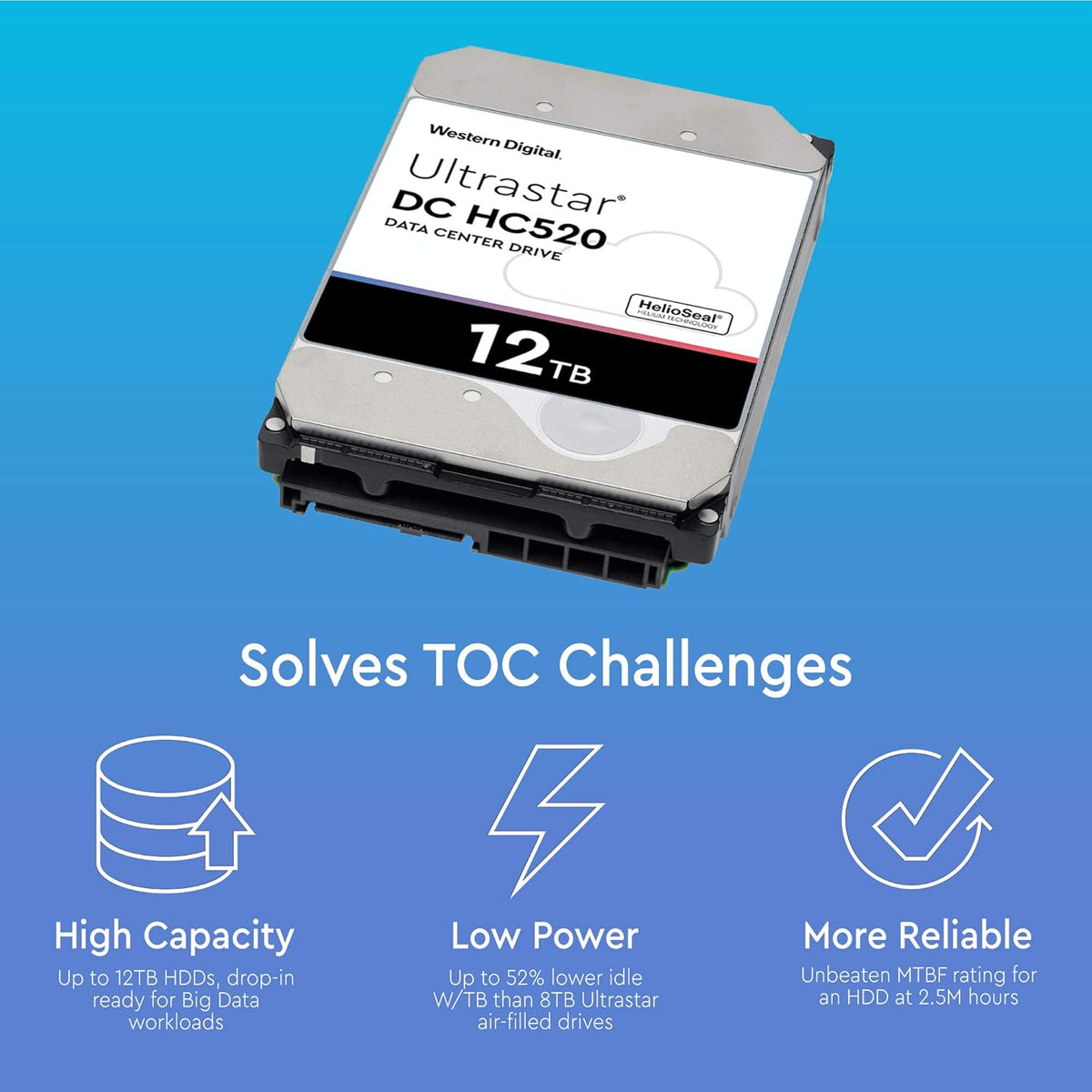12TB 7.2K SATA 6Gb/s 3.5-Inch Internal Hard Disk Drive Z295196