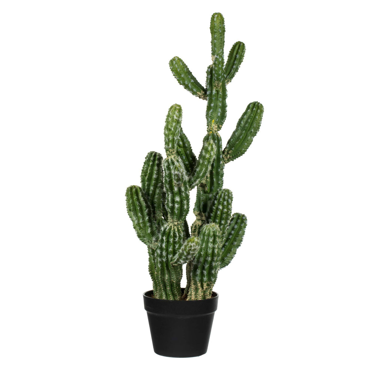 Green Potted Cactus Y929796