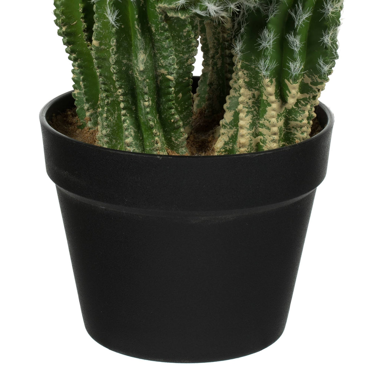 Green Potted Cactus Y929796