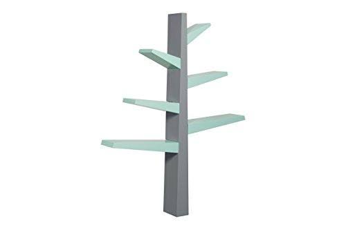 Green Bookcase O65871