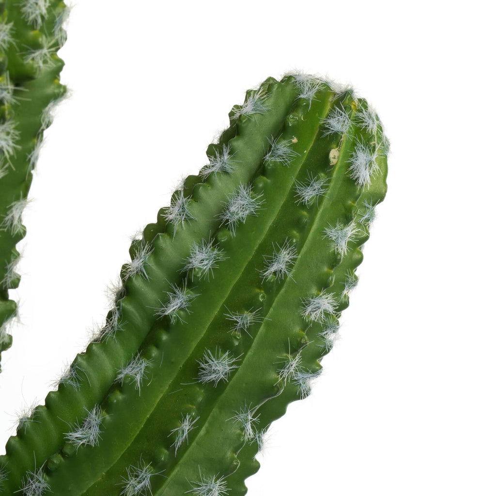 Green Potted Cactus Y929796
