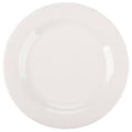 9.75 in. Medium Plate E753908