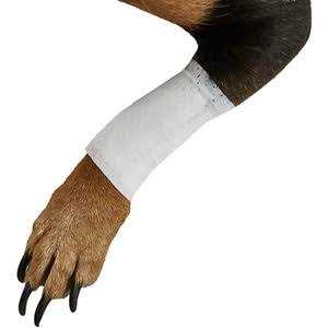 Pet Bandages Protective Covers H37065