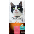 Salmon & Rice Formula Dry Cat Food Z3867