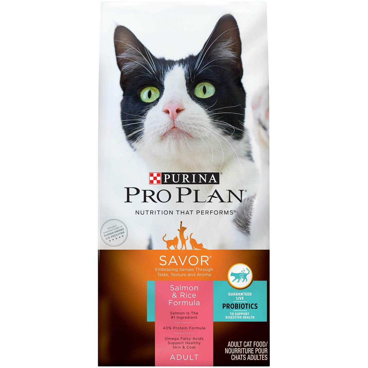 Salmon & Rice Formula Dry Cat Food Z3867
