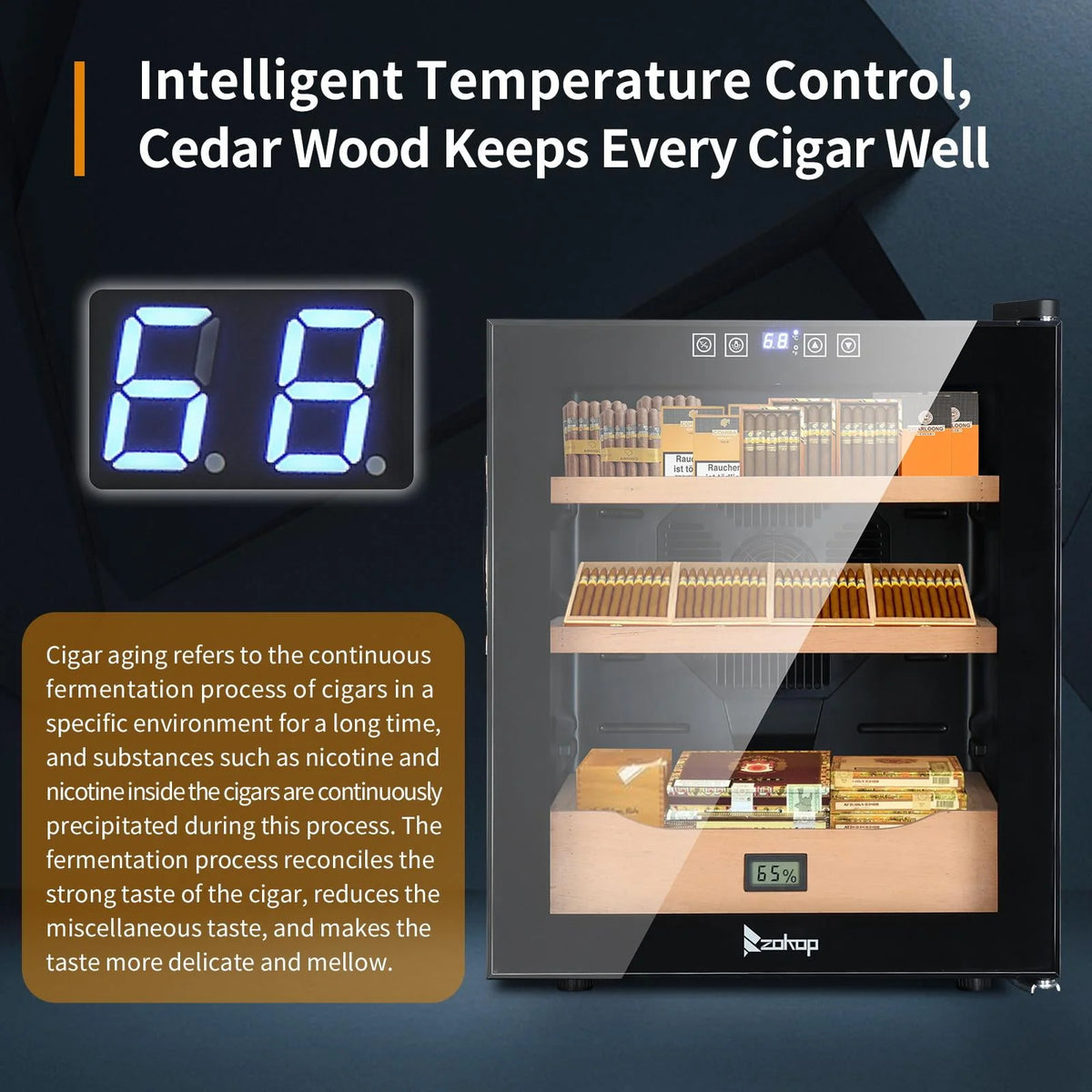 50L Electric Cigar Humidor with Cooling and Heating Q113