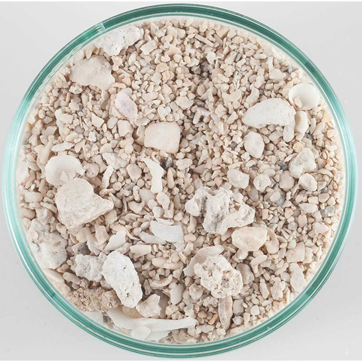 Dry Aragonite Reef Sand I253