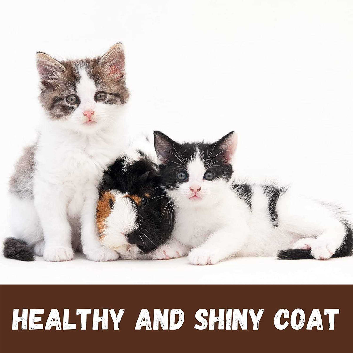 White Cat Shampoo G1062