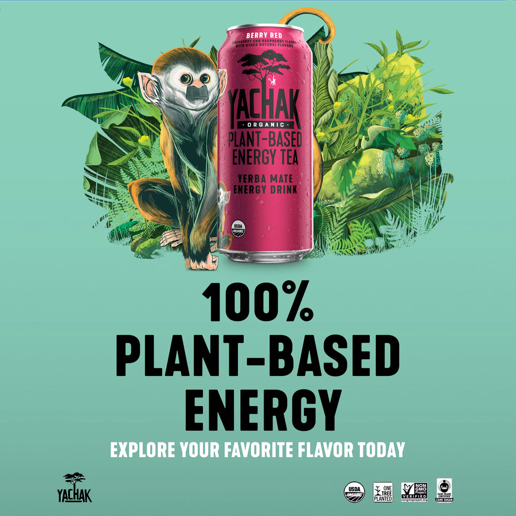 Yerba Mate Drink 16 fl oz 12 Pack Cans C971978