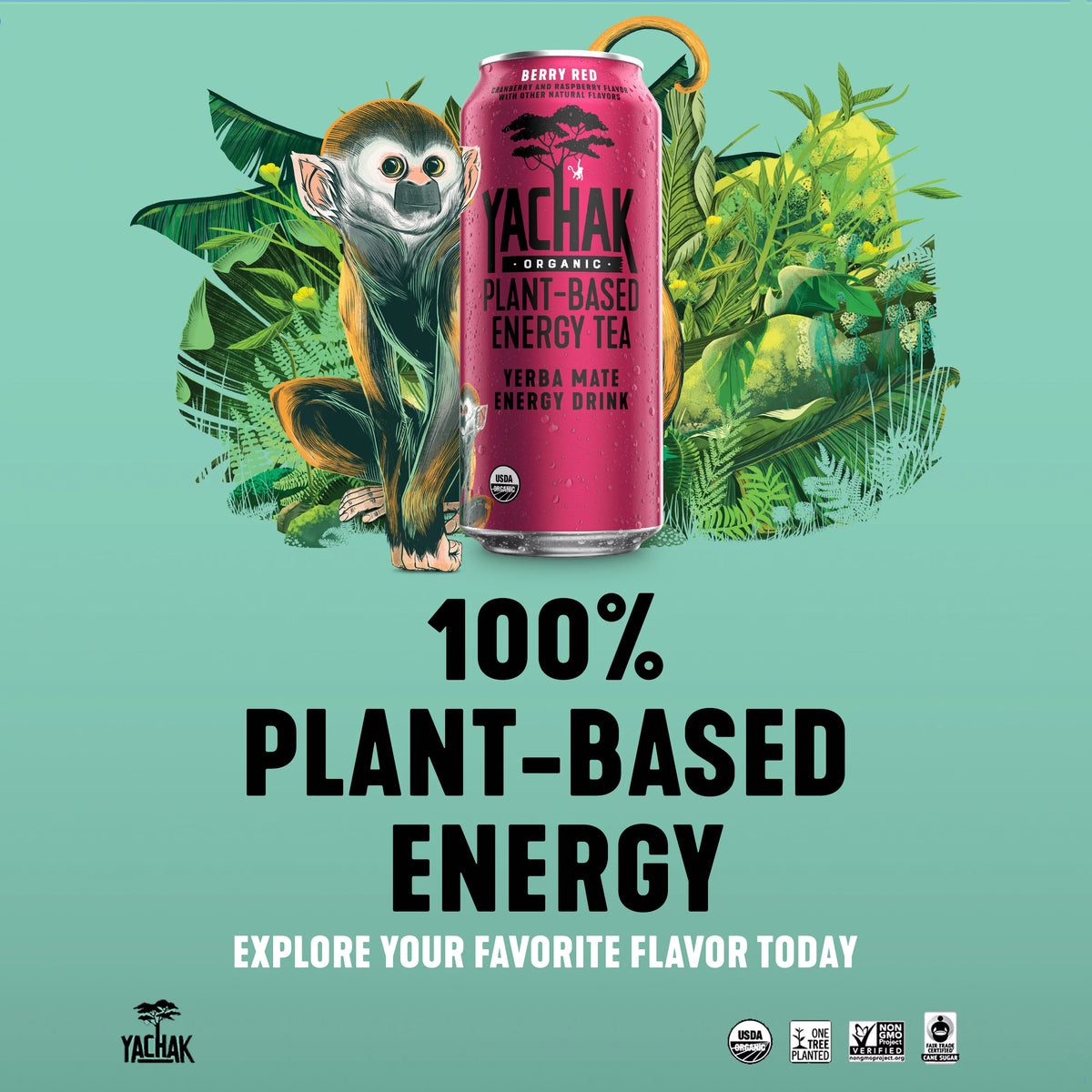 Yerba Mate Drink 16 fl oz 12 Pack Cans C971978