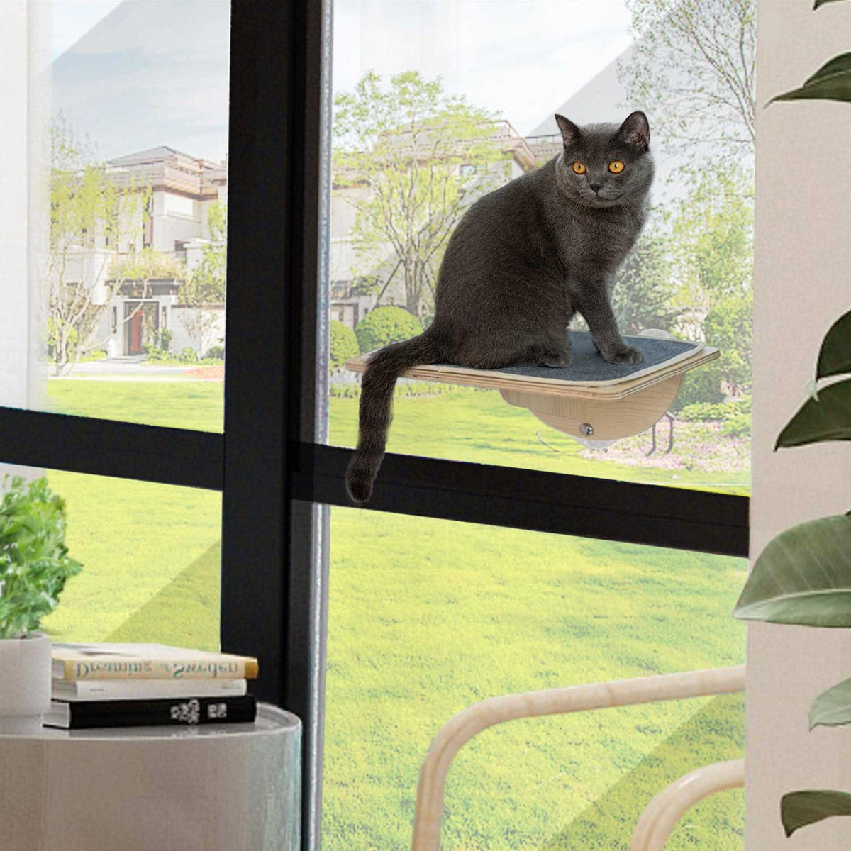Cat Window Perch with Suction Cups V668660