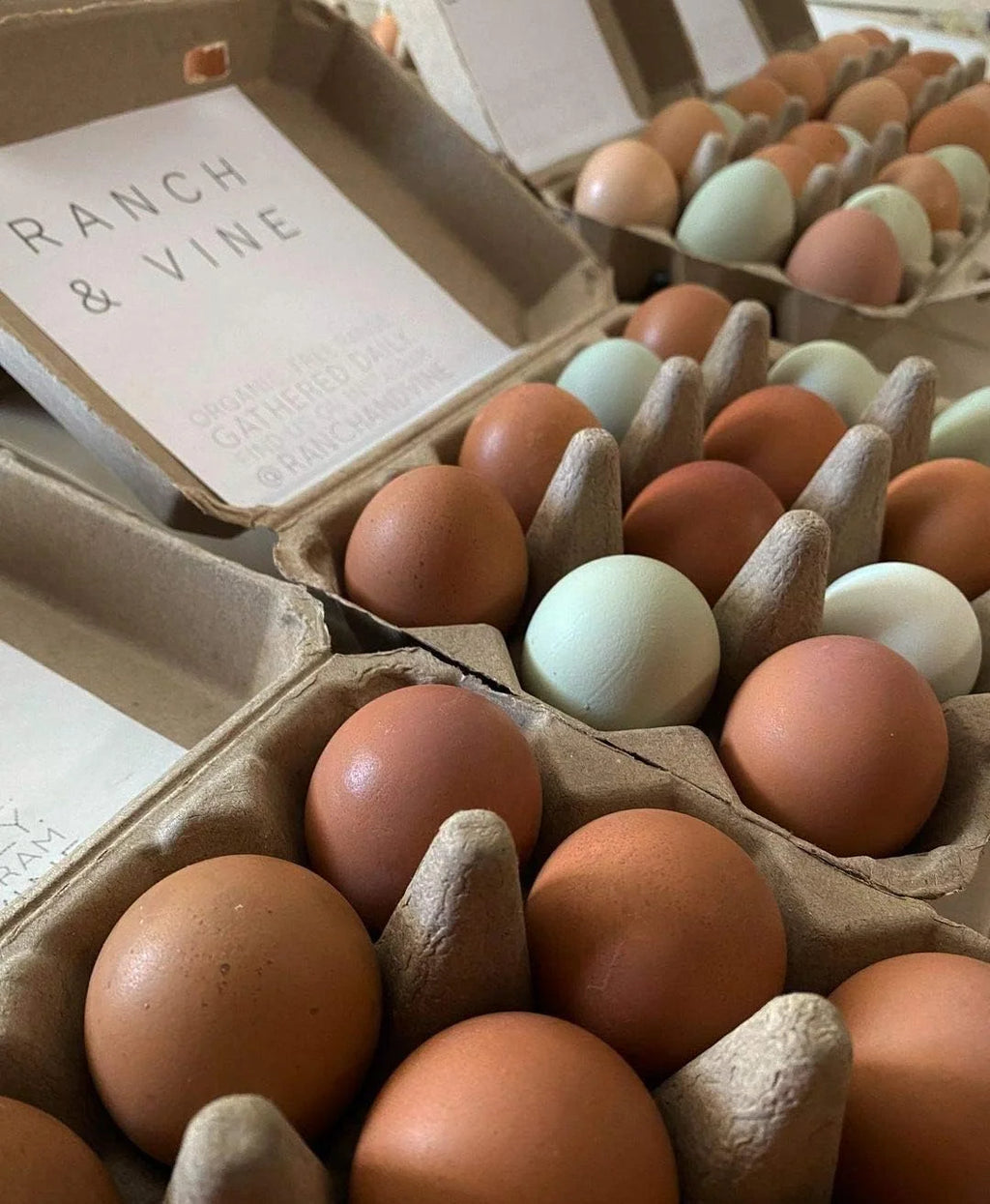Blank Egg Cartons 75-Pack 3x4 Holds 12 Large Eggs Recycled Cardboard D819