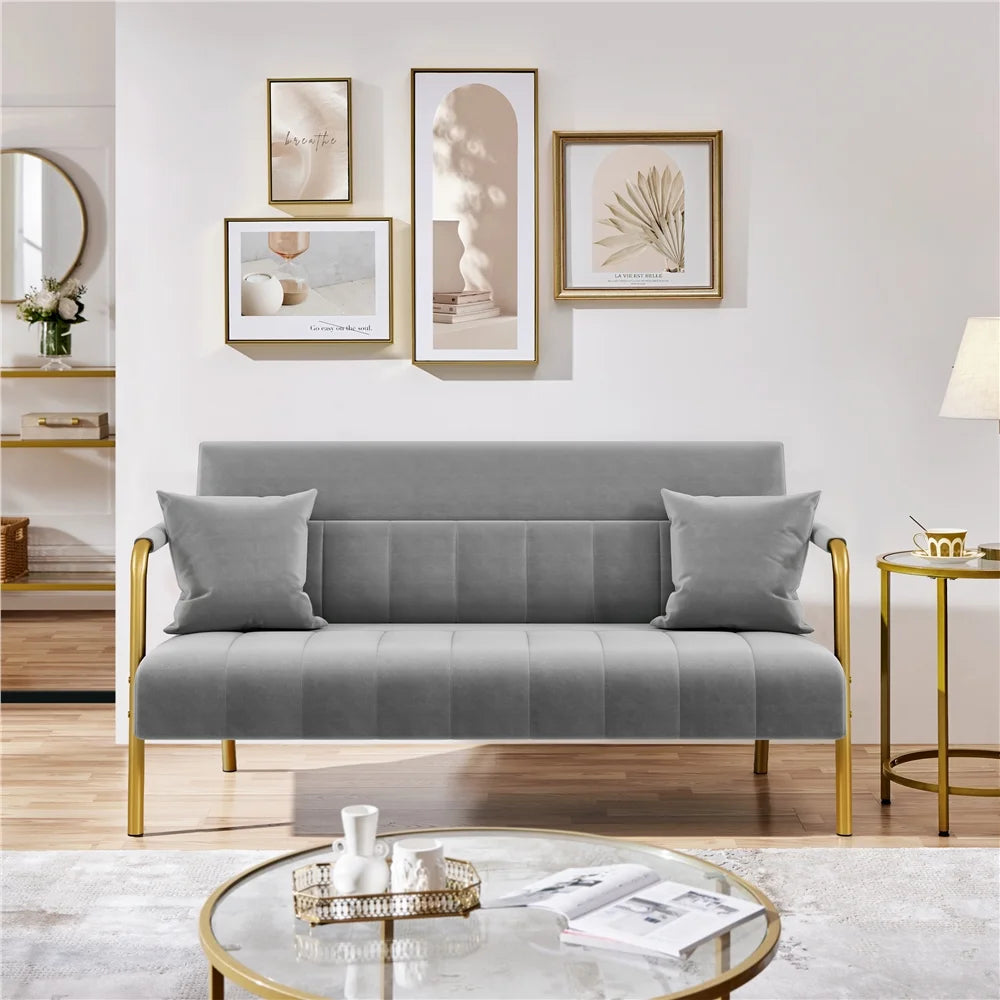 Light Gray Upholstered Sofa Couch with 2 Pillows R444