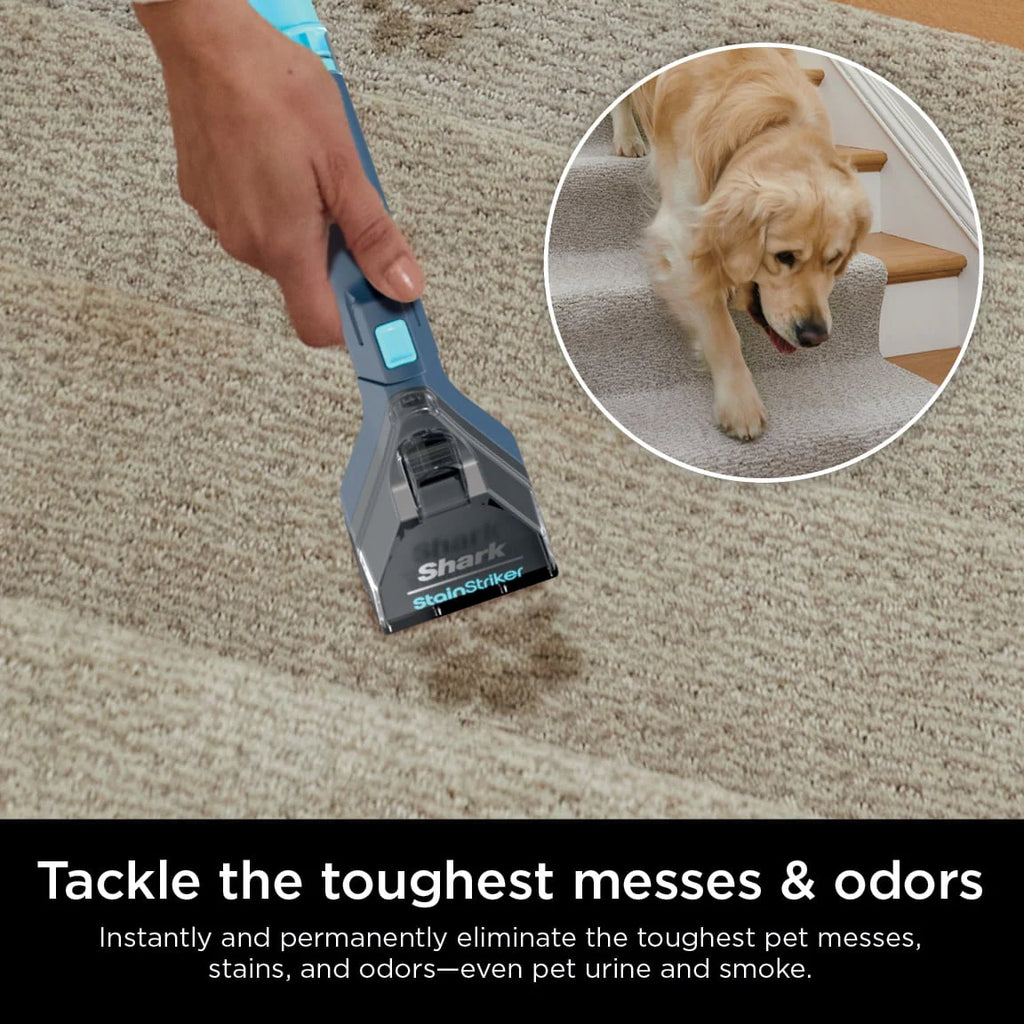 Portable Carpet & Upholstery Cleaner Z8841